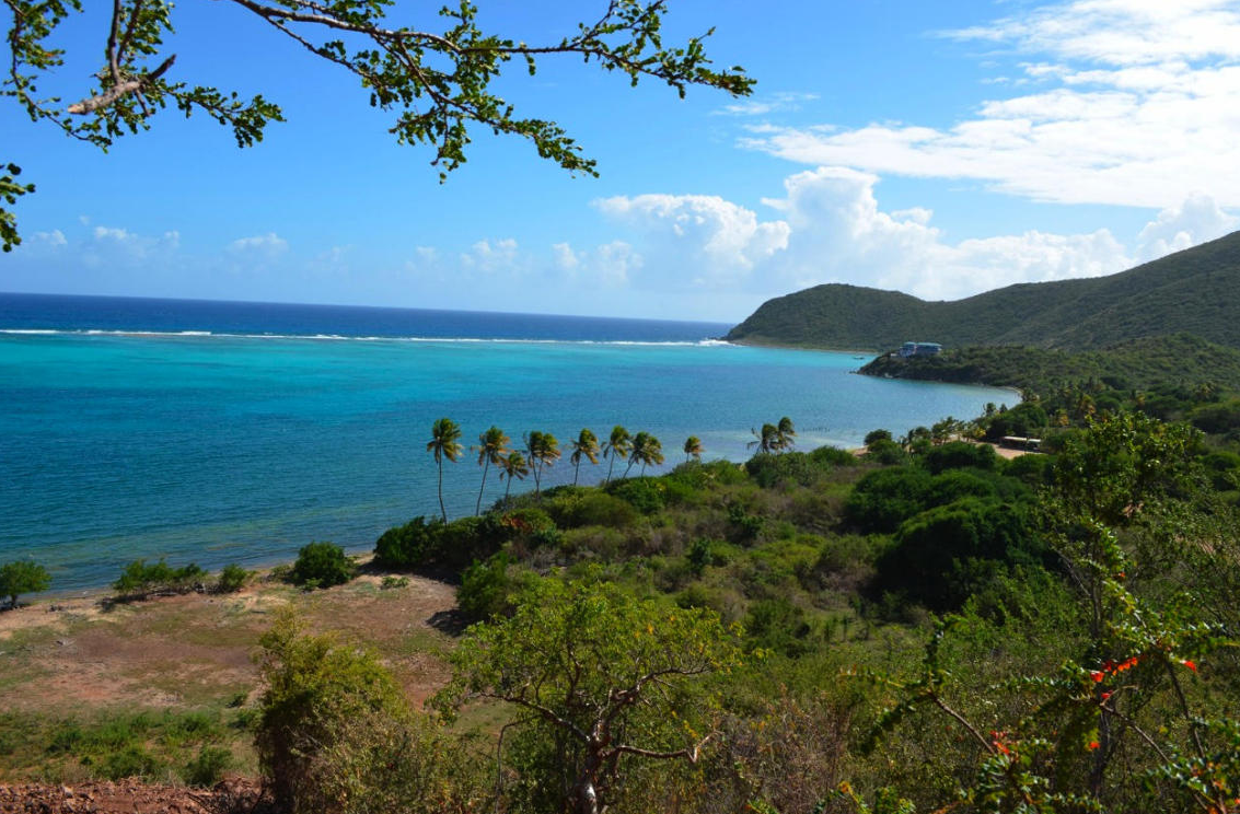 Mls St Thomas Virgin Islands Mls St Thomas Virgin Islands